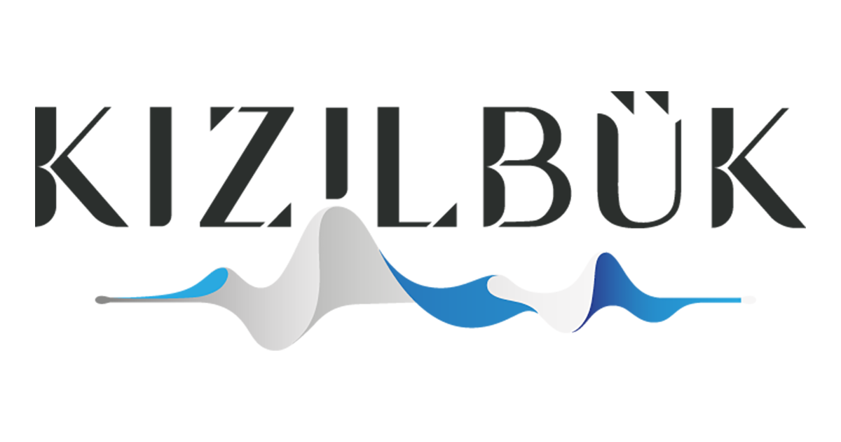 Preview of sinpaskizilbuk.com